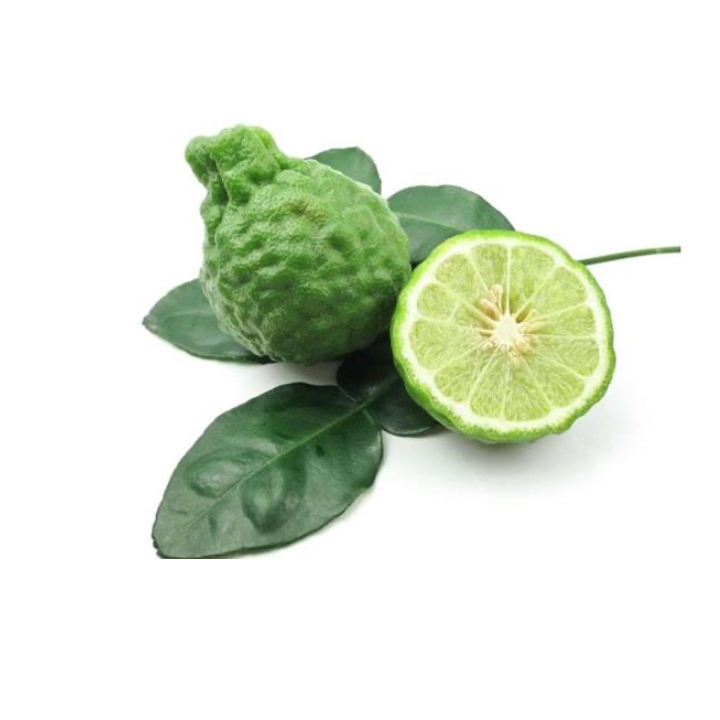 Lima Kaffir 2un