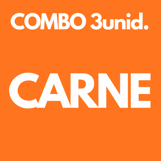Onigiri Carne 3un