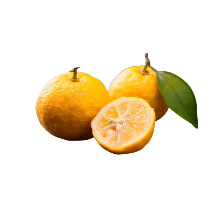 Limão Yuzu Fresco 1uni